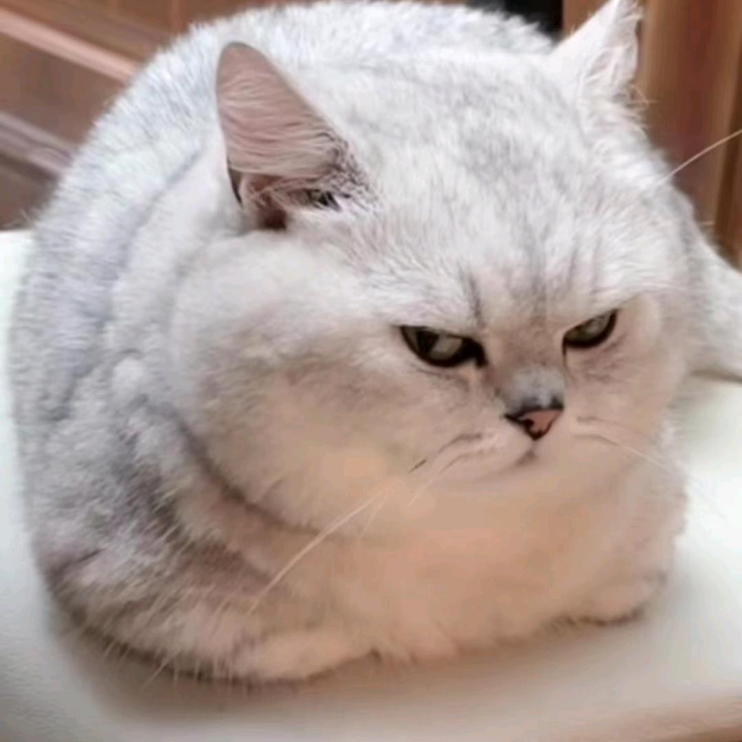 啊静静