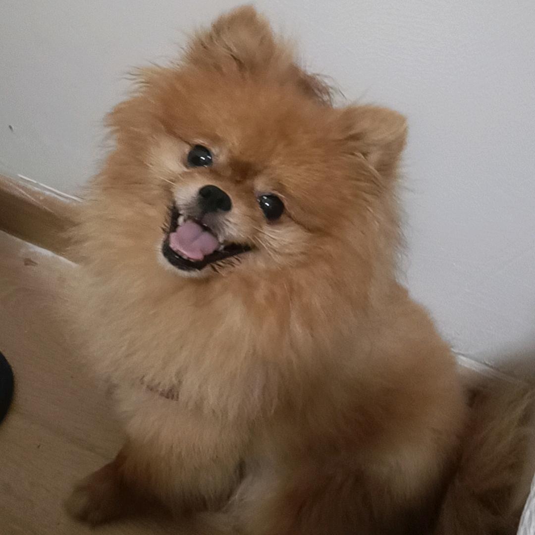相信自己，越来越好
