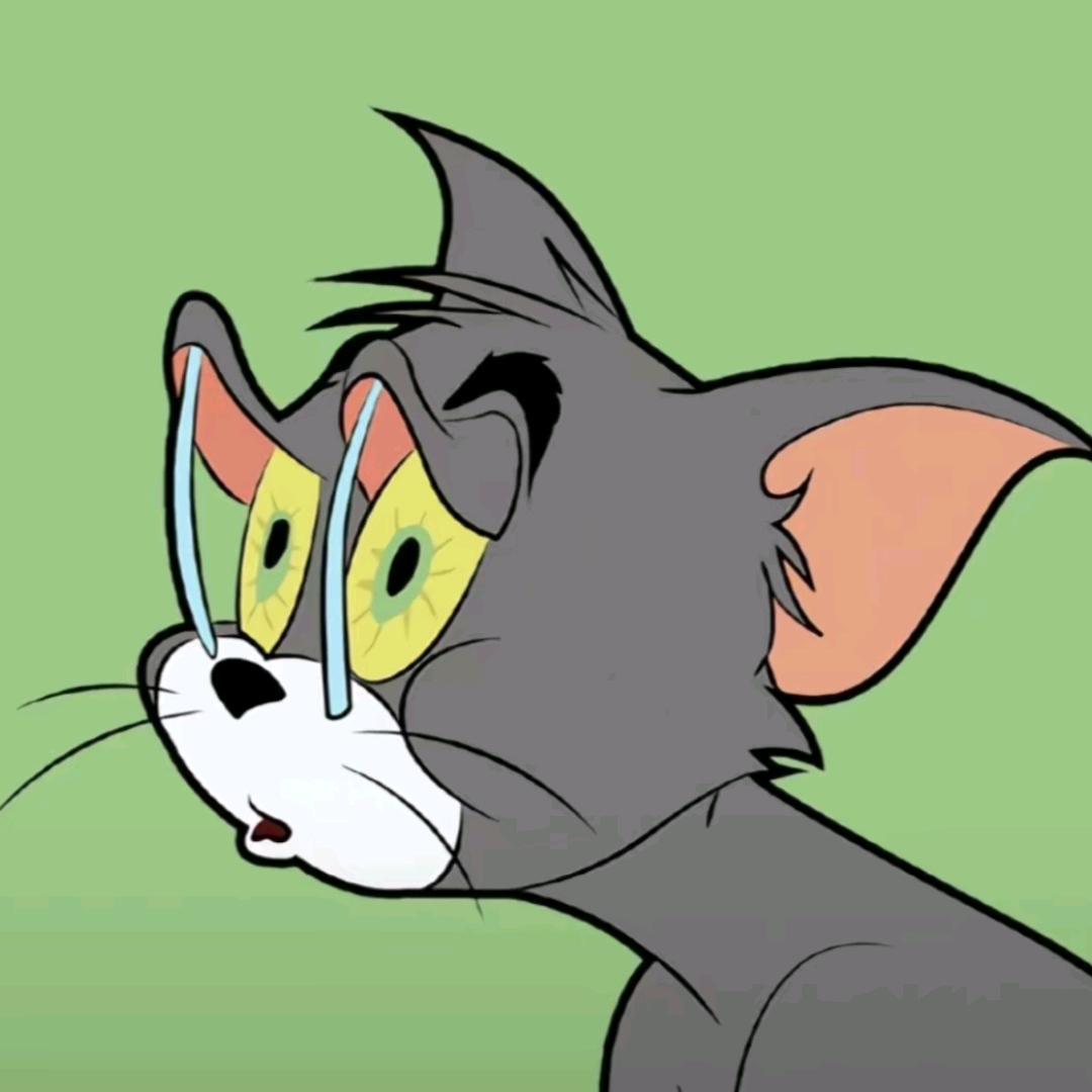 舞阳河畔的七月