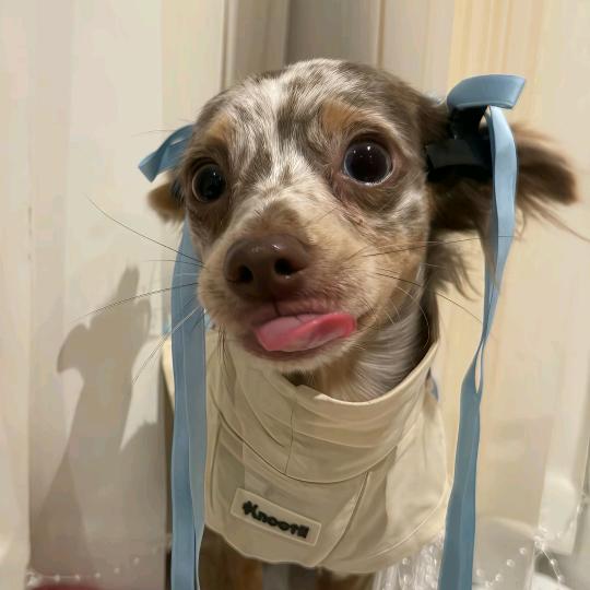 ㅇㅅㅇ謝