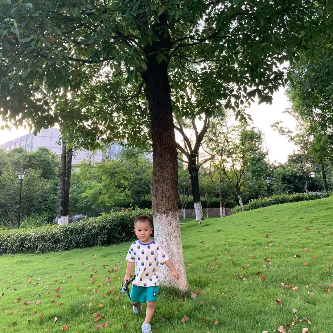 落寞夕阳。