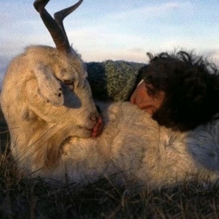 真的不喜欢西红柿