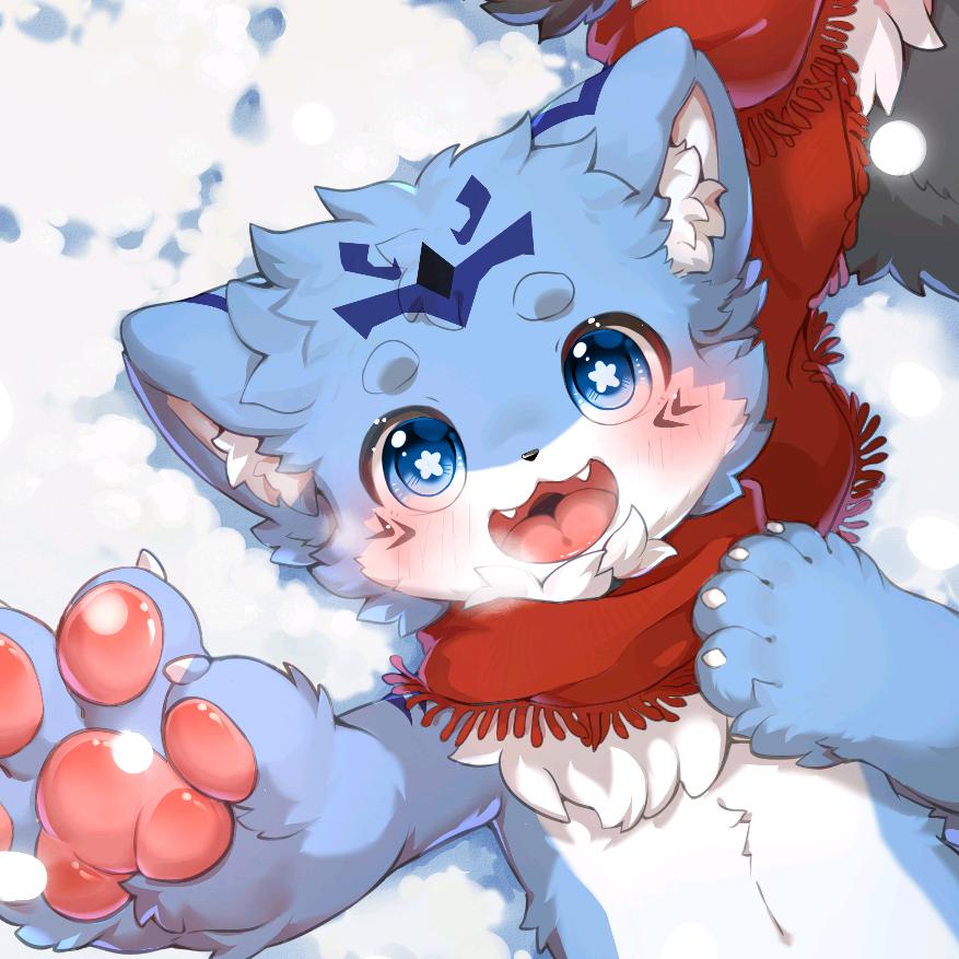 🐾星崽🐾