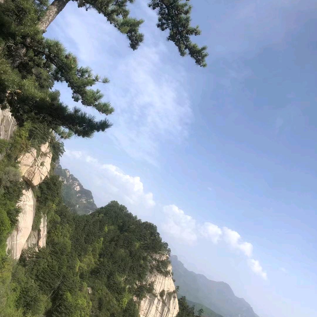 感悟