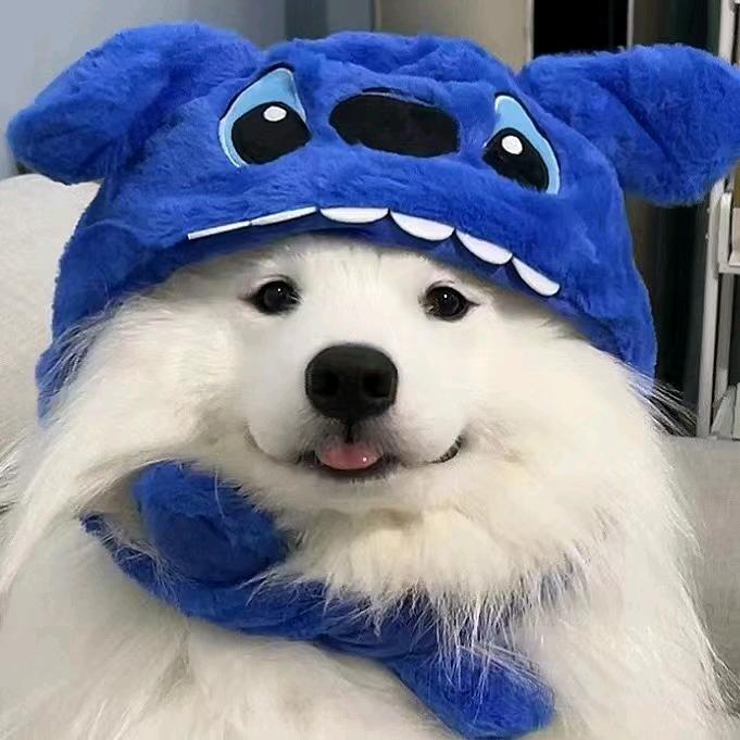 与世无争