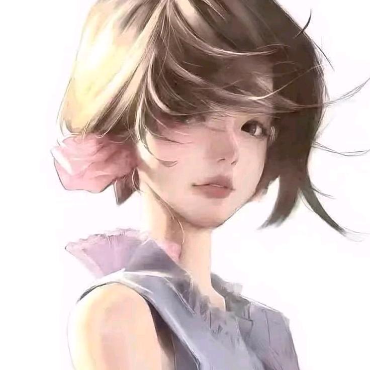 情无解