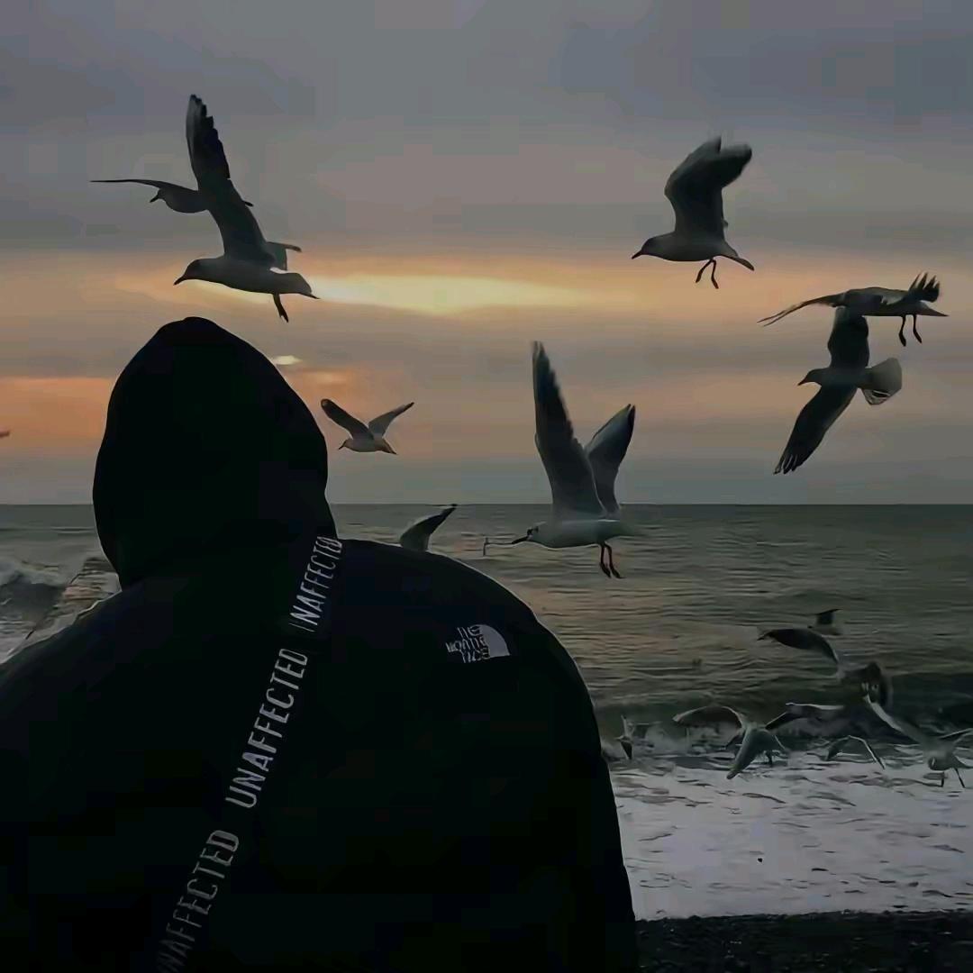 小胖的生活日记