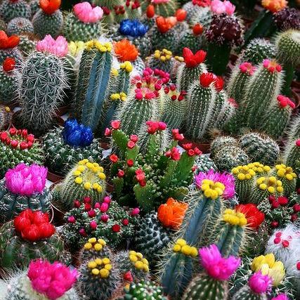 兵💕兵💫²⁰²⁵