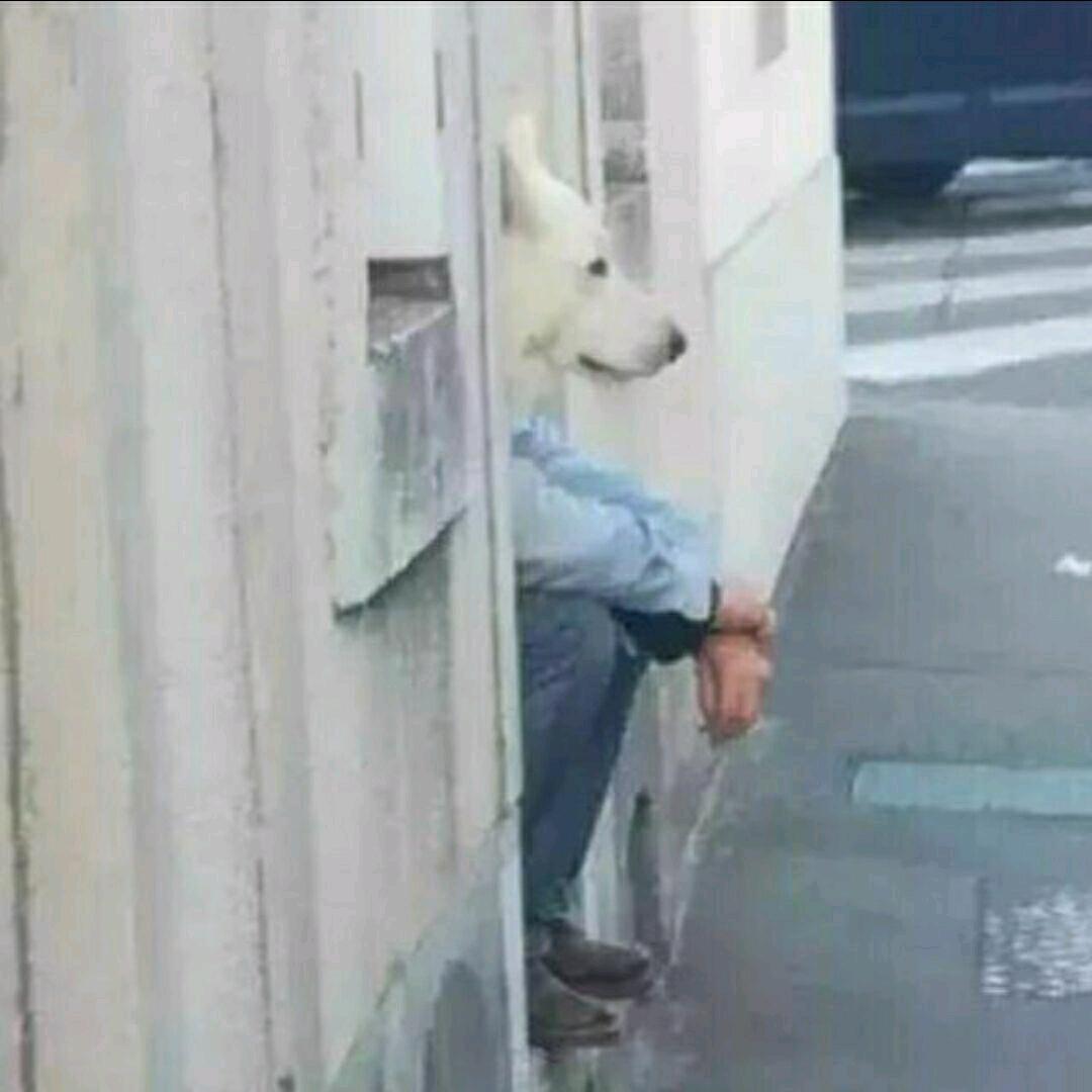 卡布达。