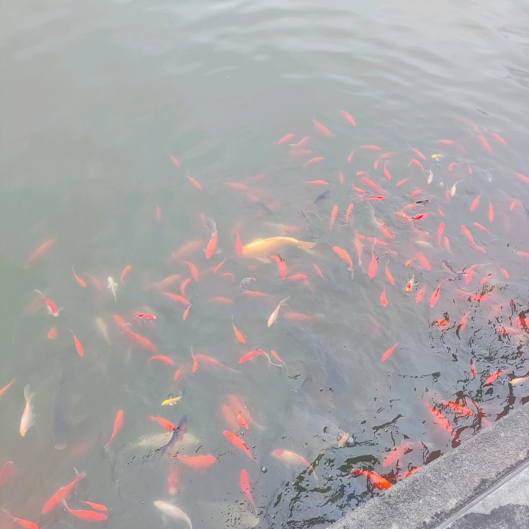 谢老三