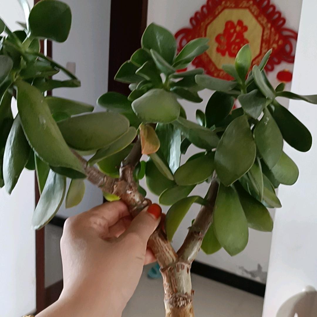 余生随心