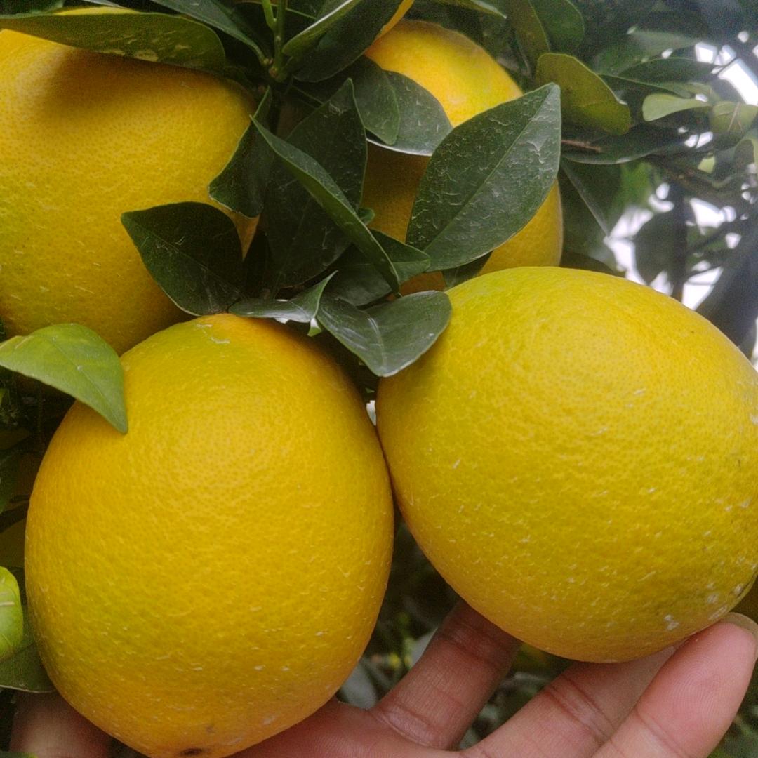 面对人生，笑对生活