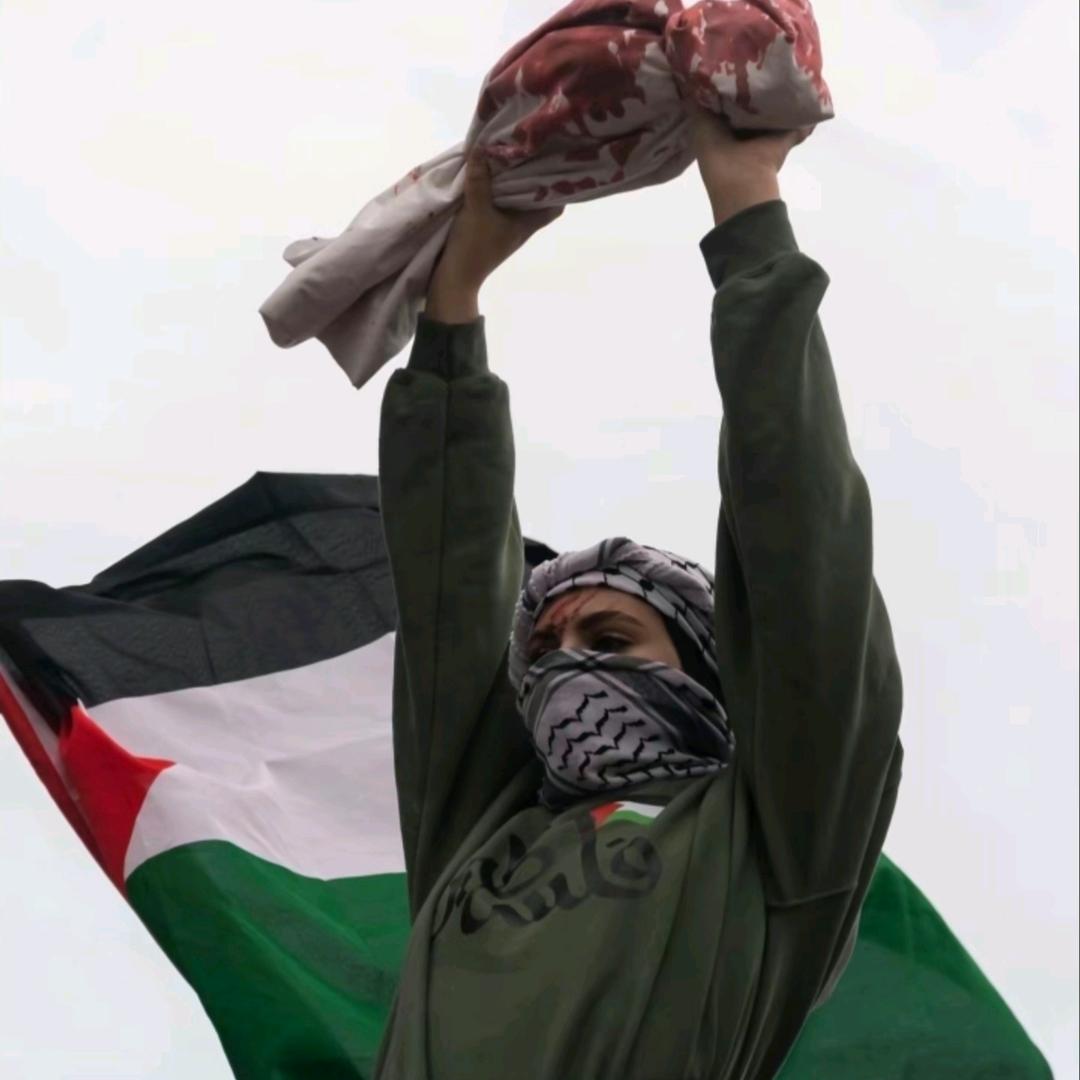 机智的小白🇵🇸