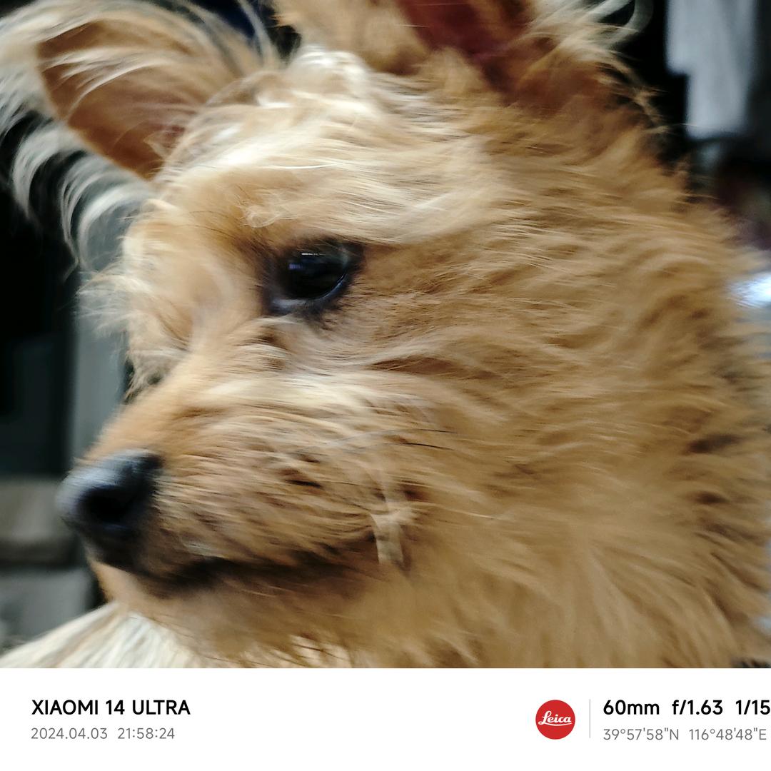 獭獭水晶手作馆