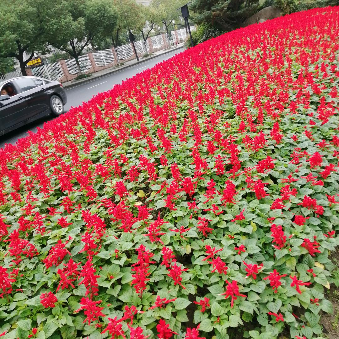 四川达州的辣妹子