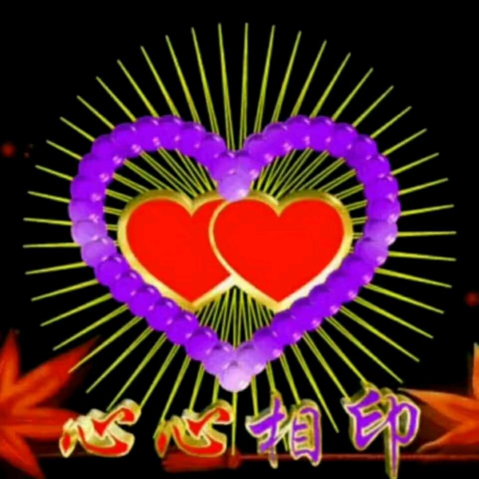 骑着蚊子追飞机i