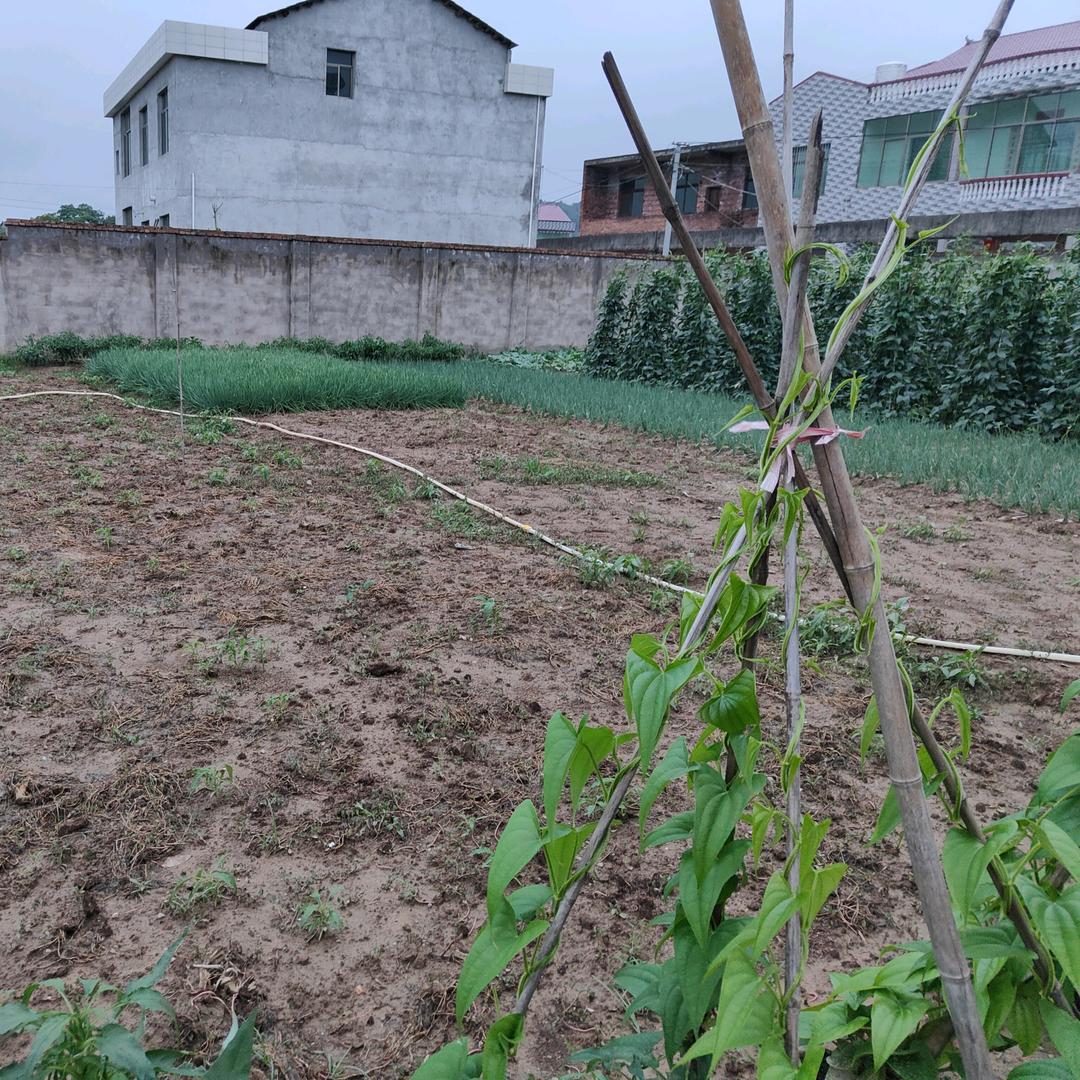 其实种地也挺好