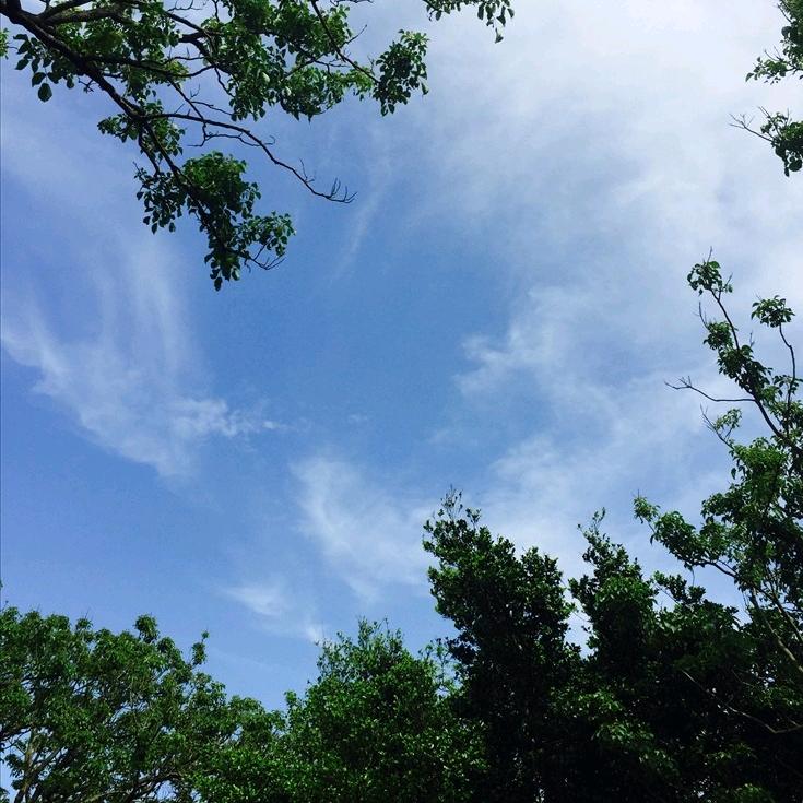 A   高天流云