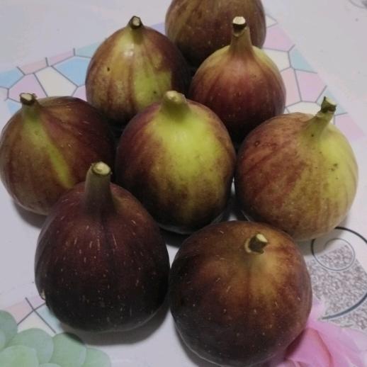 不会开花，也会结果，单身的我