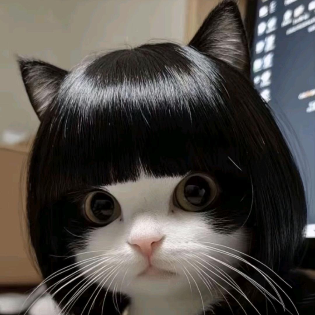 司徒淑芳家的猫