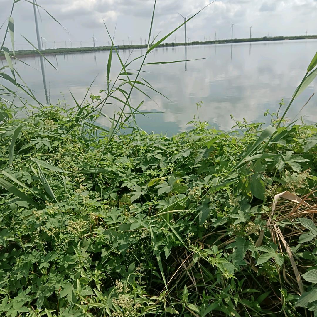 小雨