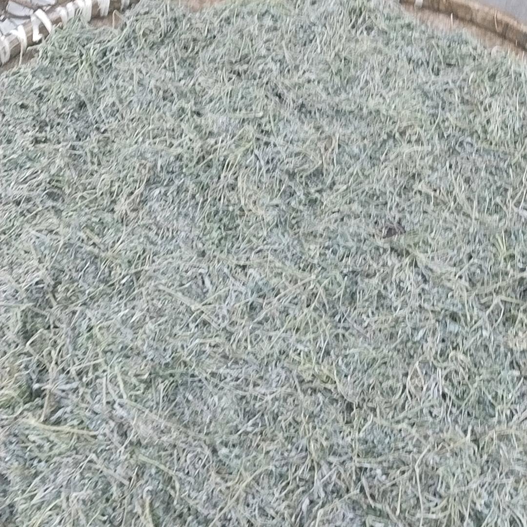 雨天的回意