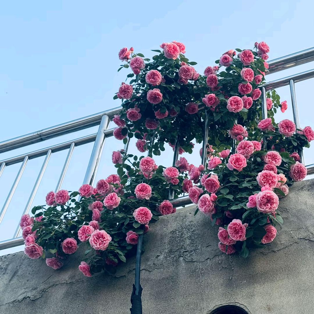 ঞ爱财ꦿ᭄꯭爱己ꦿᩚ️᭄