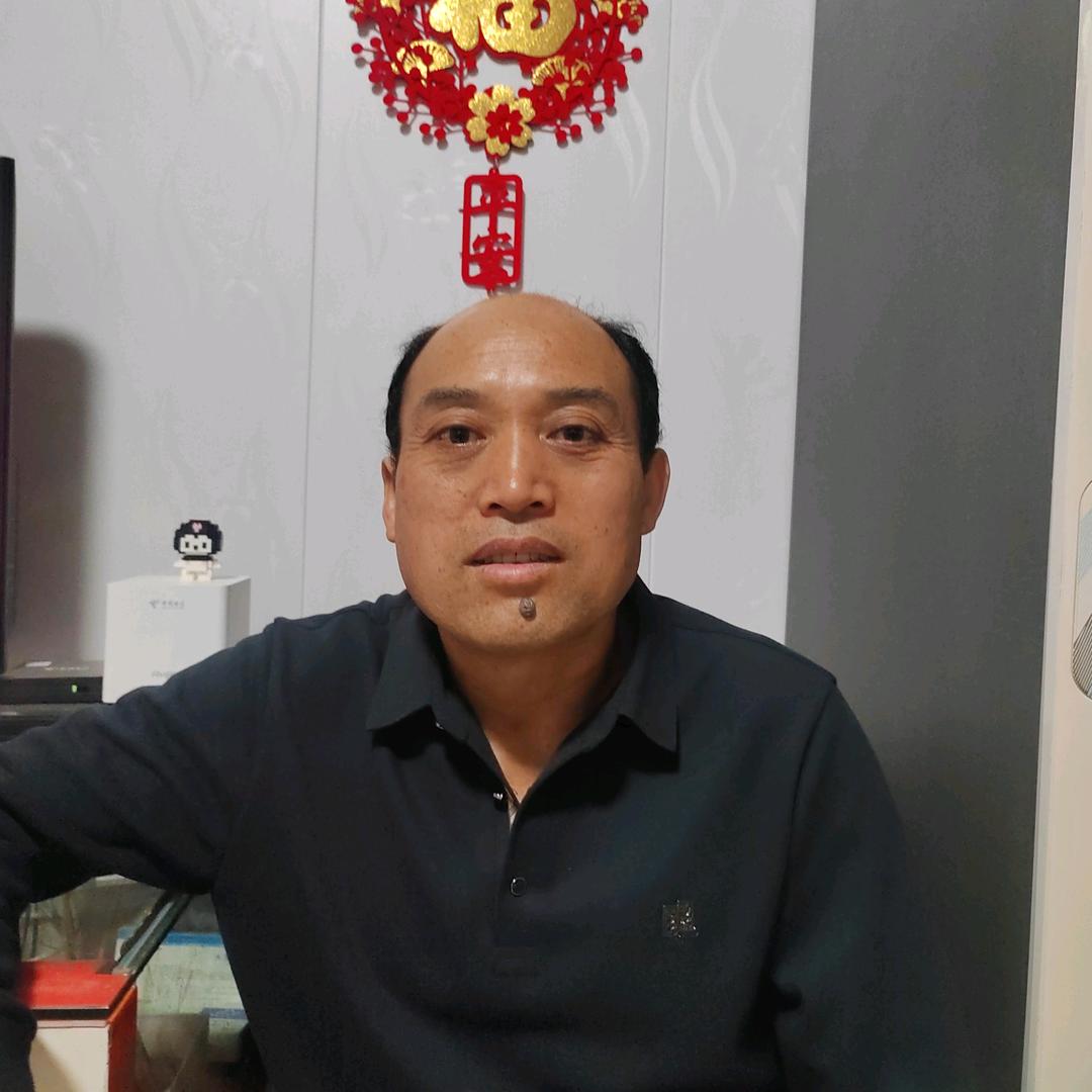 苏老四