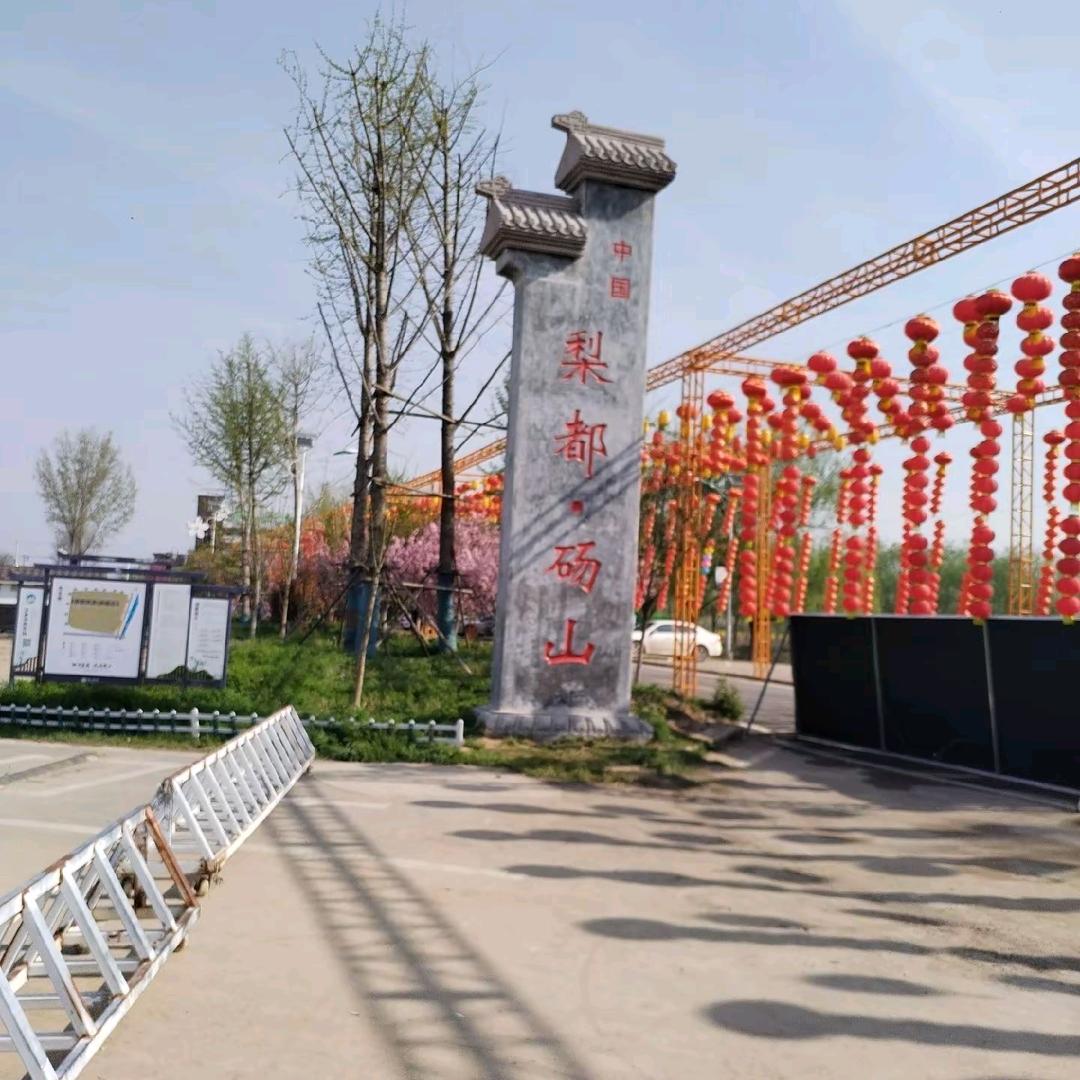 皖北果园杨永丰
