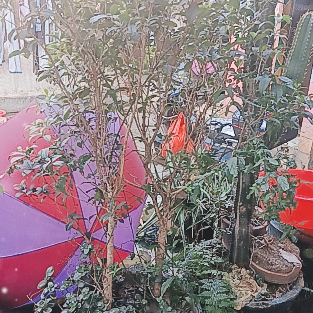 一路忠诚