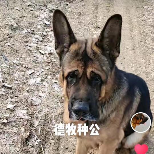 久保田农机