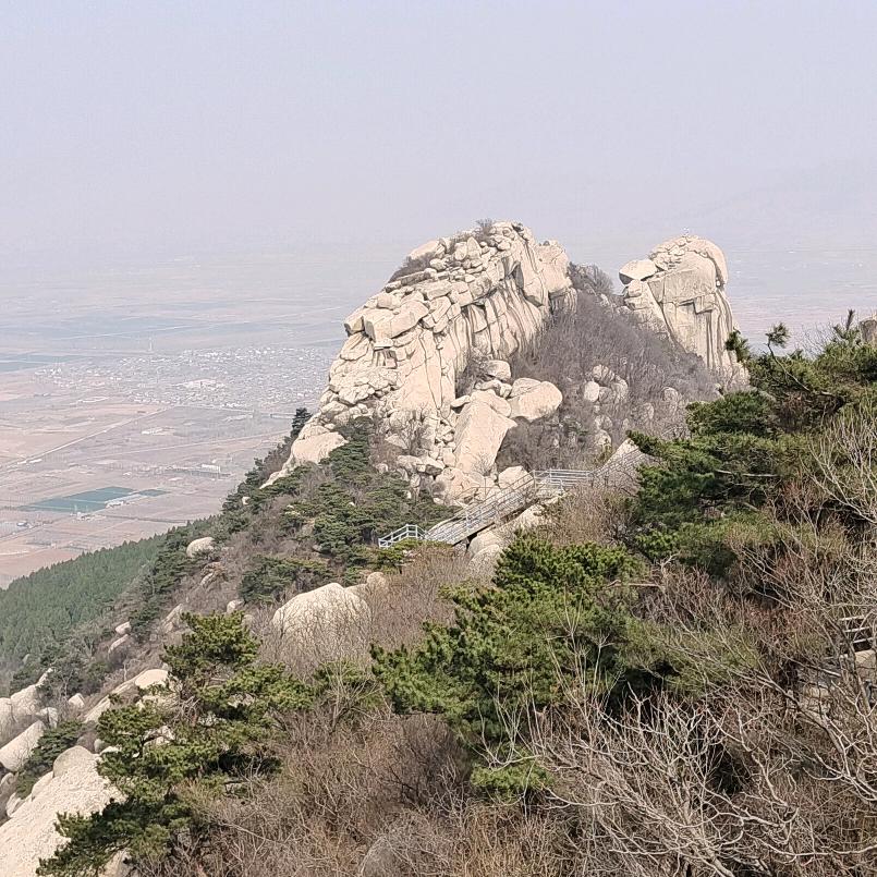YZ大松
