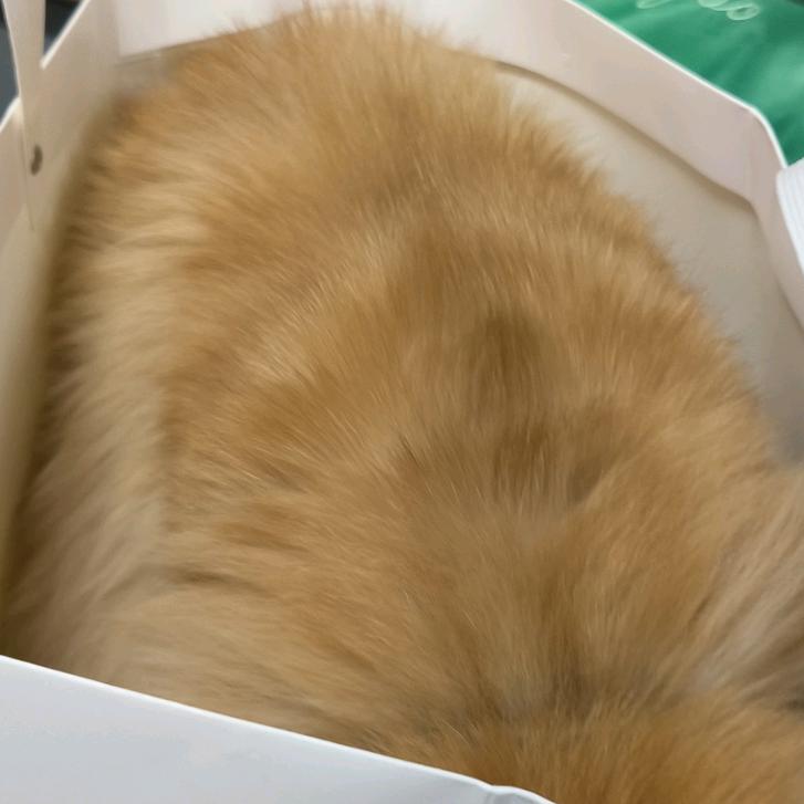 击云