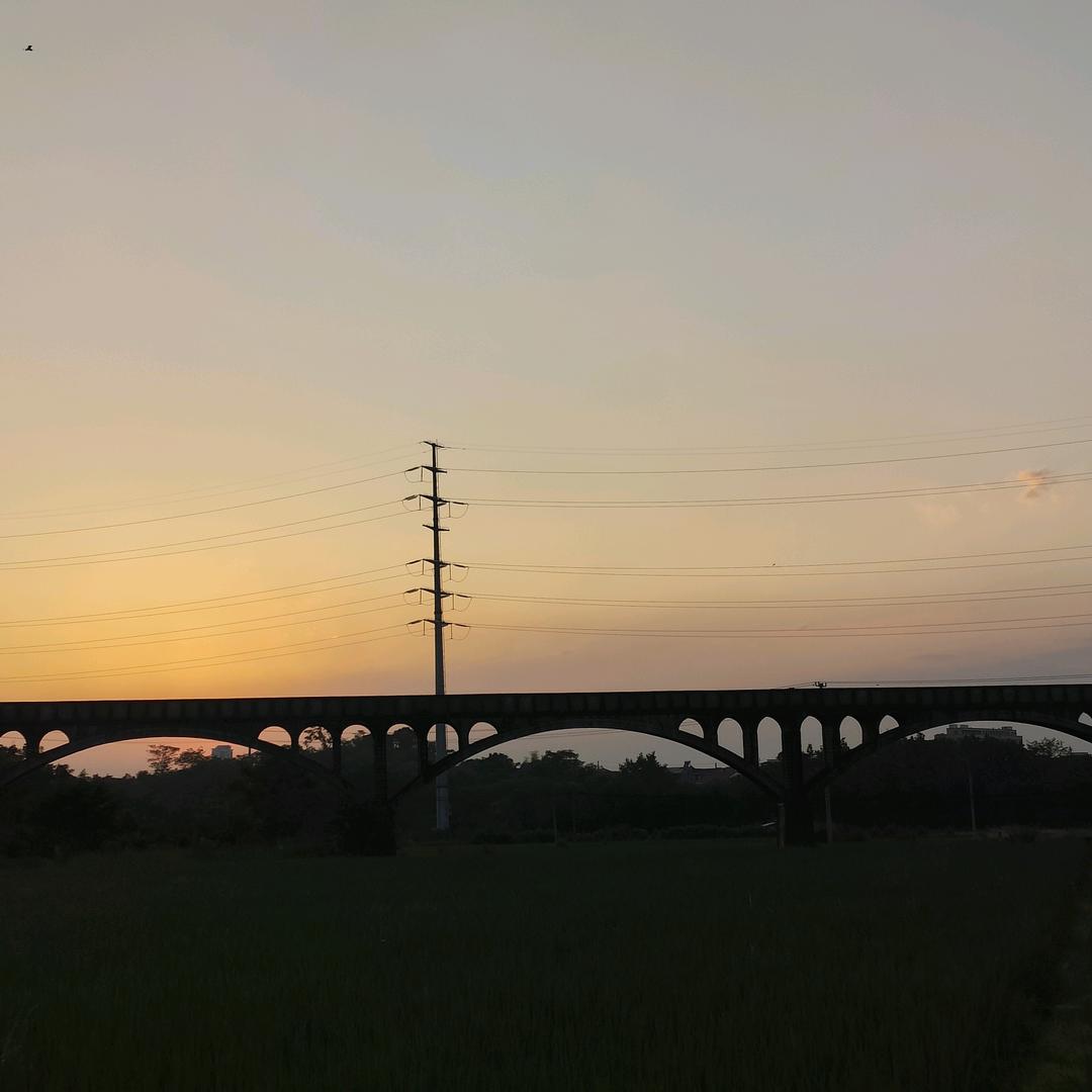 婷婷吖