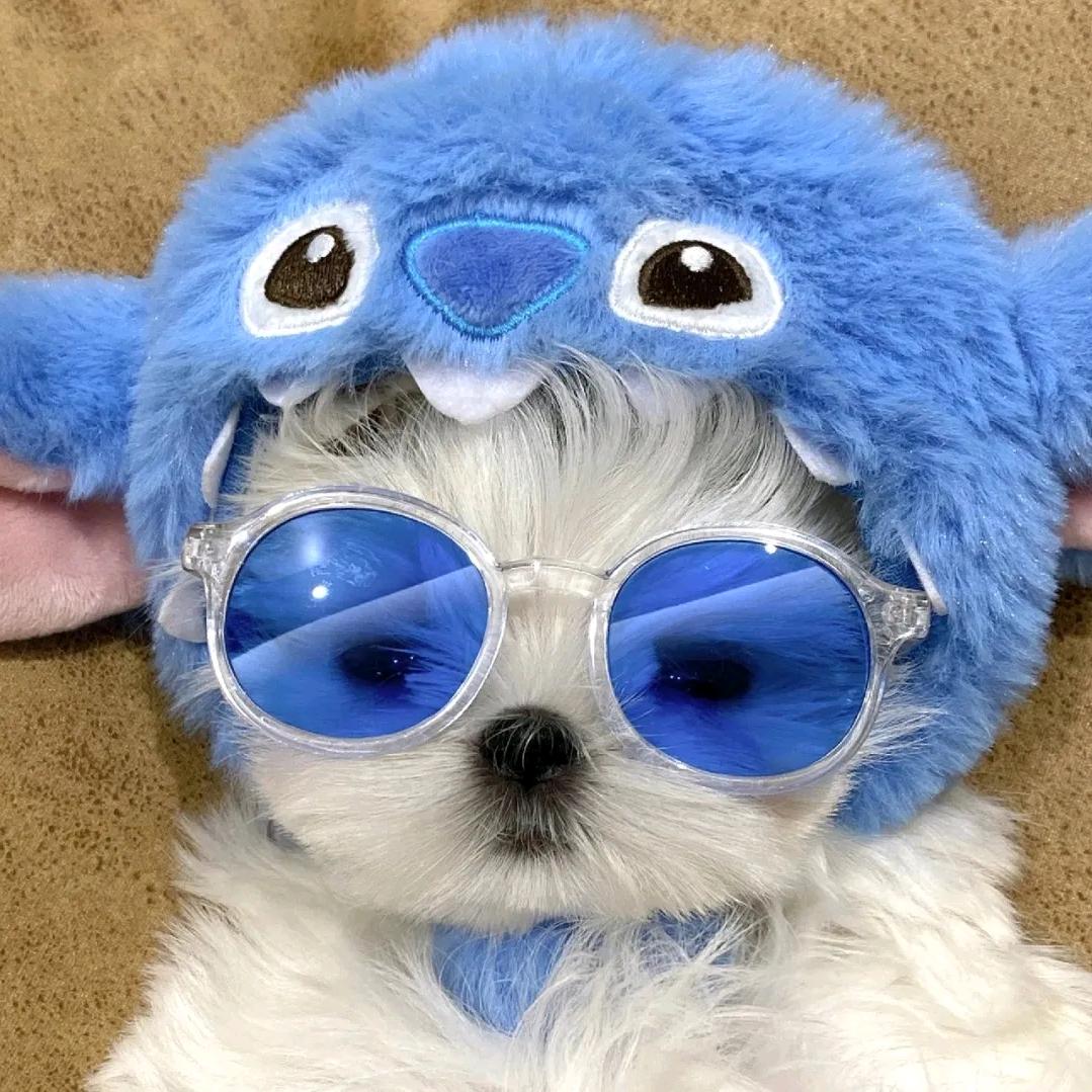 Ashore（专一版）