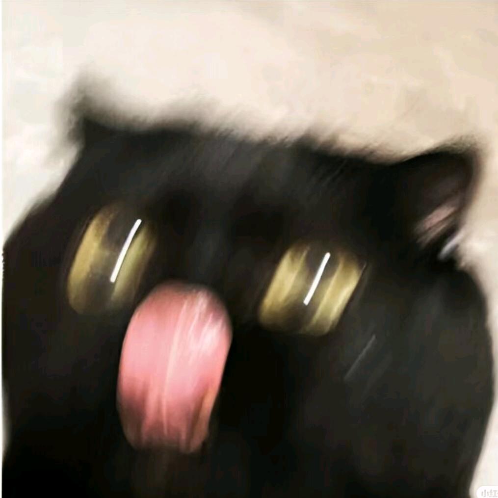 sf宅宅