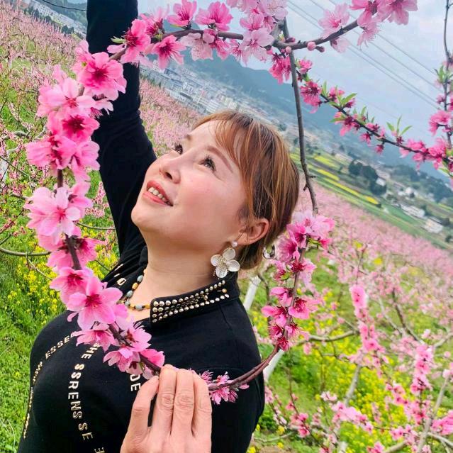 车龙歌