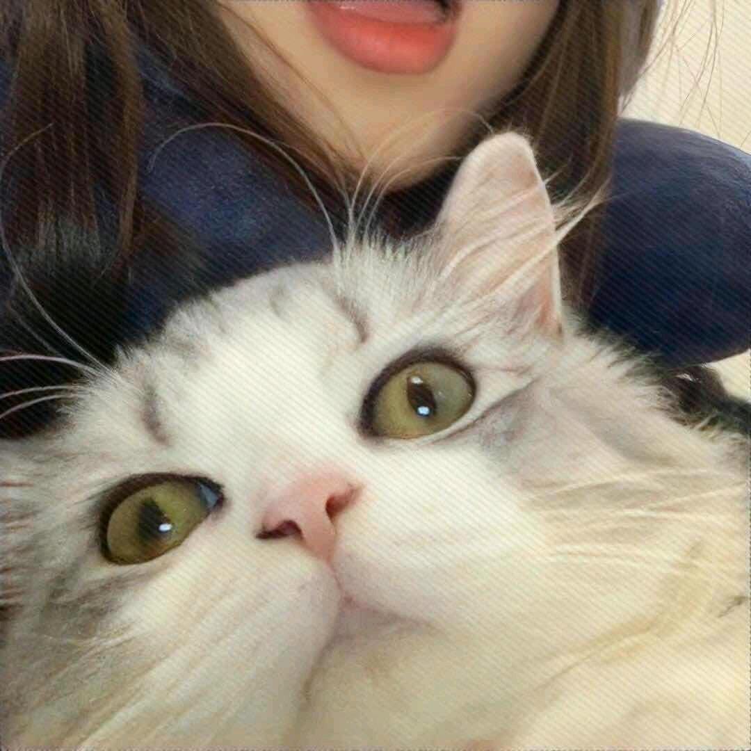 小张今天开心啦