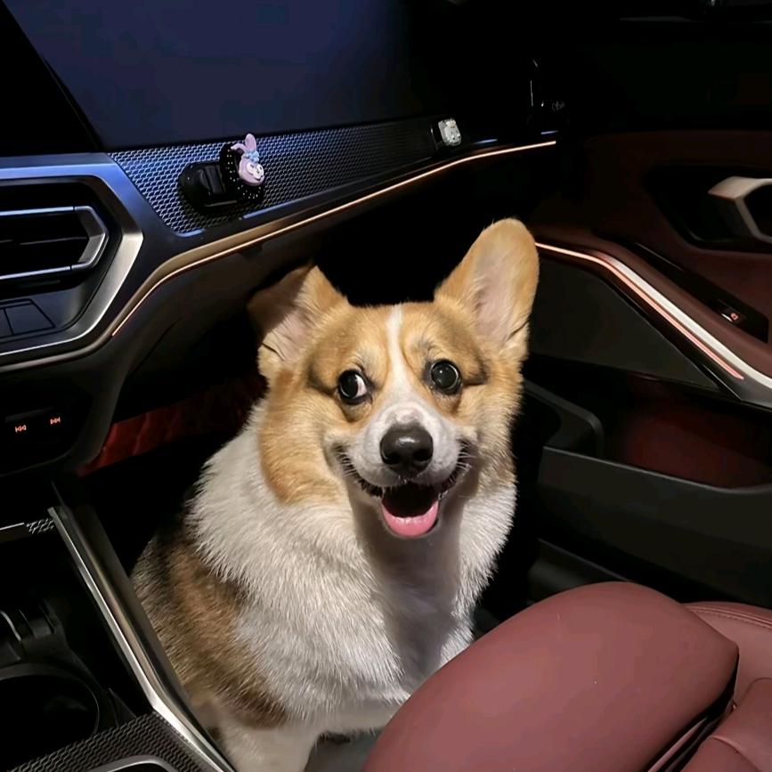 7 .7 .7 .7