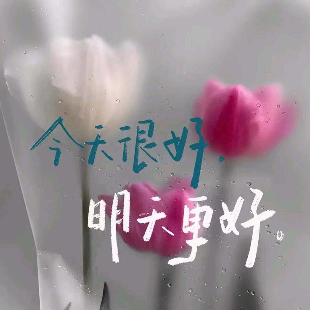 🉑🉑爱🍋