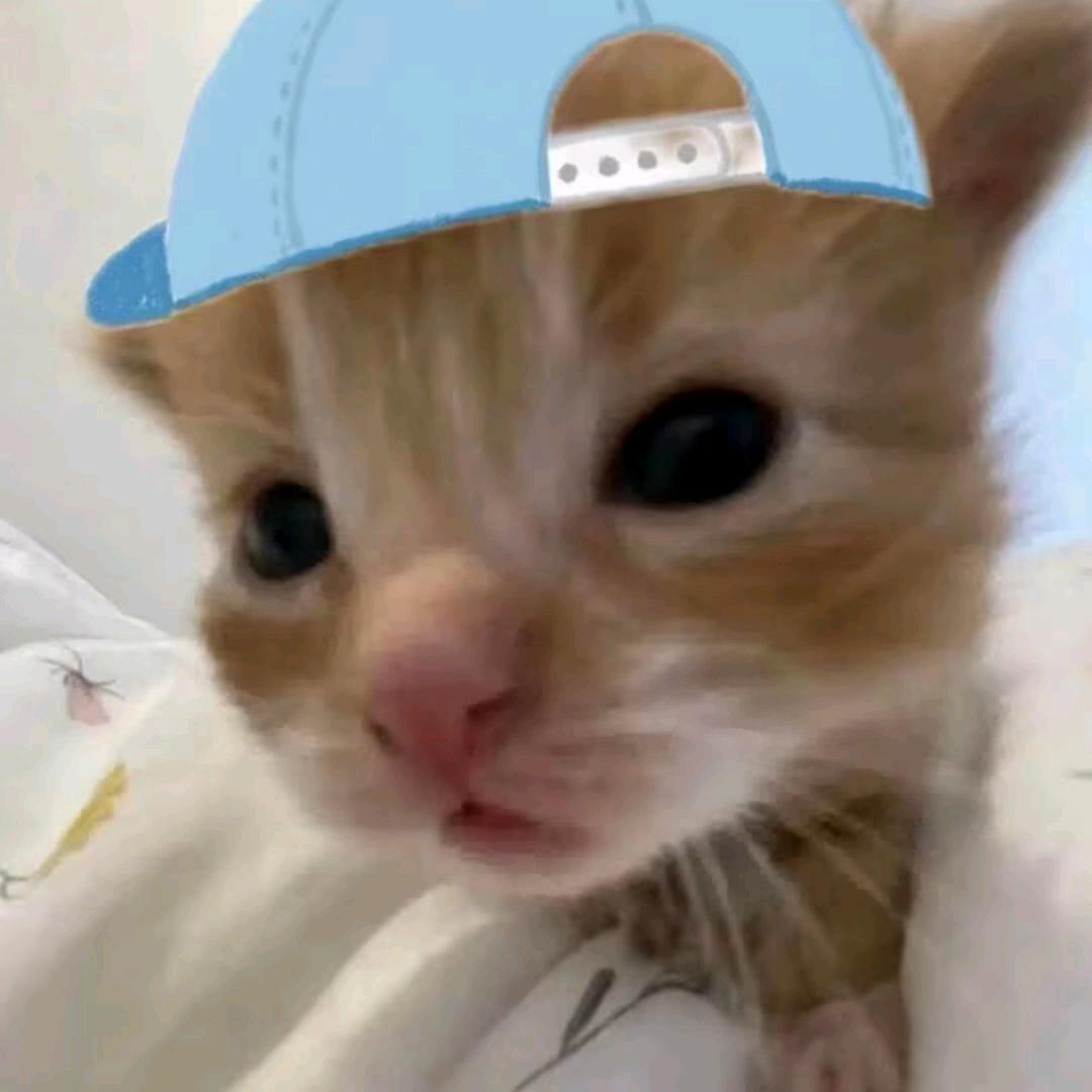 不想早睡o