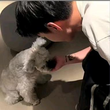 没招了