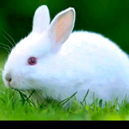 遇见幸福的我。