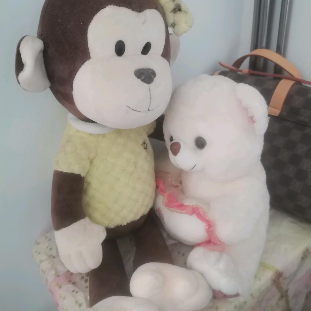 初心（筹备中）