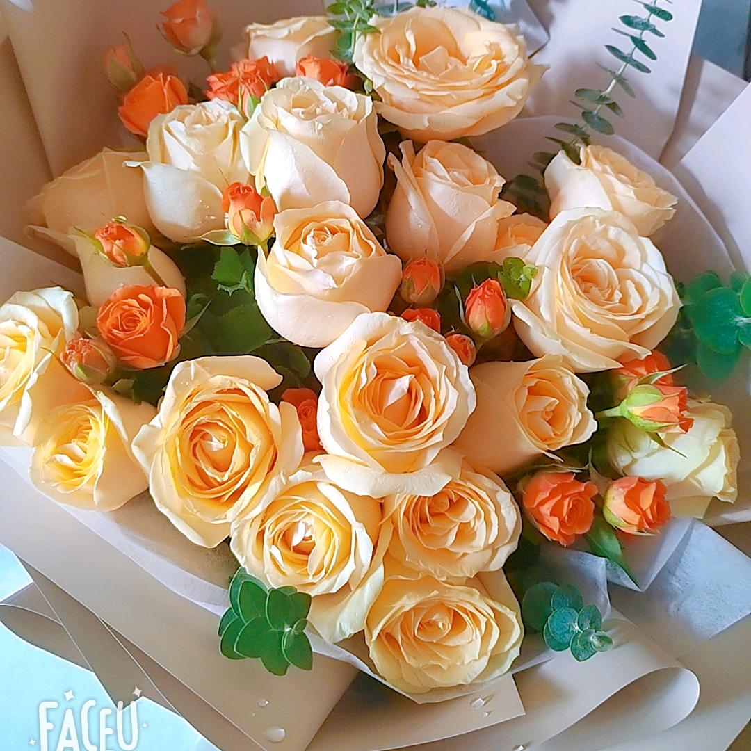 冰海雪莲🌺华梅
