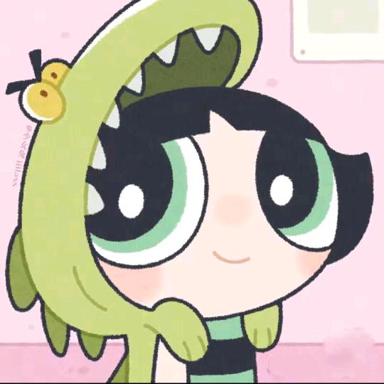 青春萨摩耶