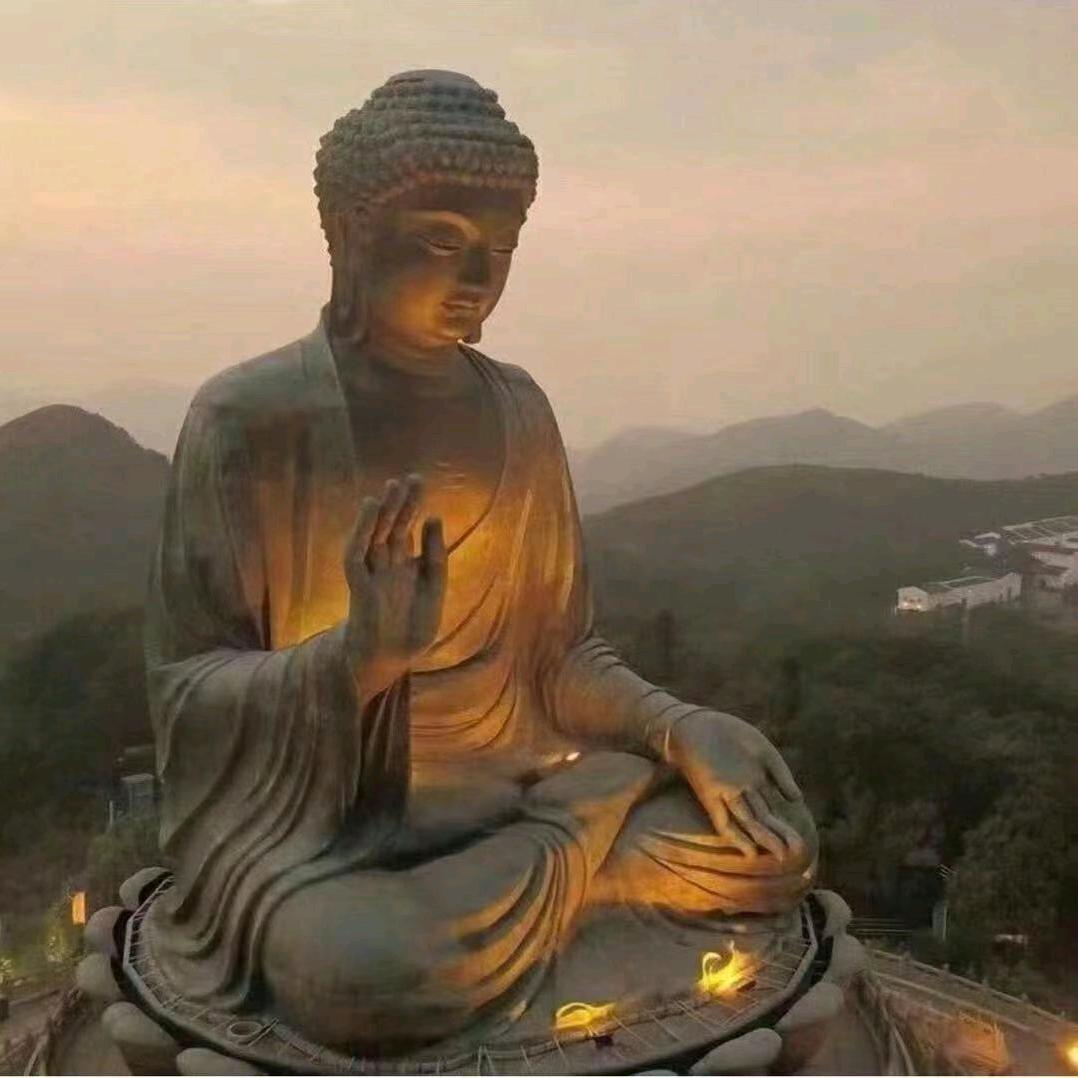 你的决定