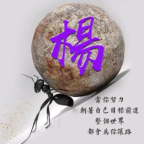 众鑫稀有金属回收