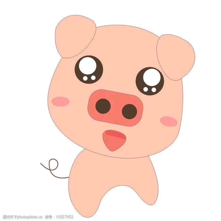 莲子66