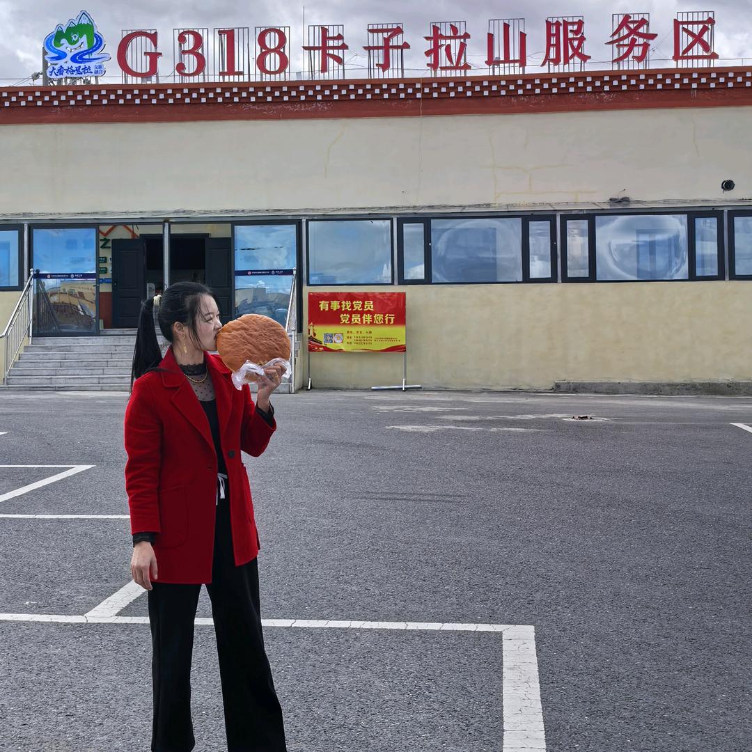 菲菲高原牦牛肉干